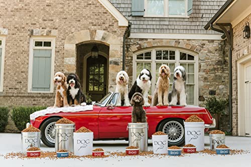 Classic Silver Dog Food Storage Canister (Silver & Black)