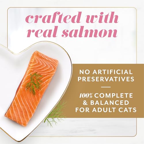 Purina Fancy Feast Gems Salmon Wet Cat Food (4 Ounce (Pack of 8))