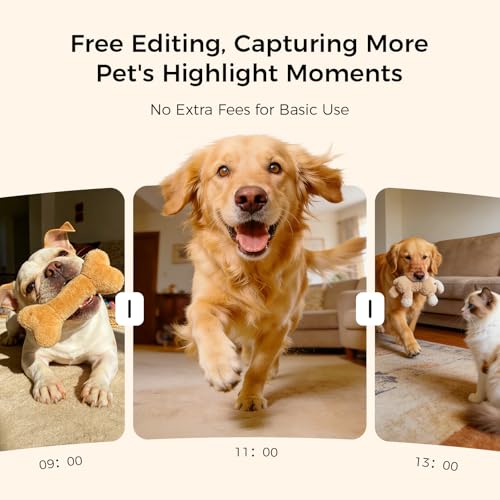 2026 3K Pet Camera Treat Dispenser (White)