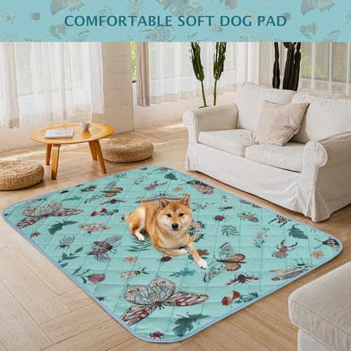 Washable Pee Pads for Dogs (Blue / 48x48 inch - 1pc)