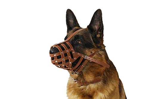 Leather Basket Muzzle (Chestnut Brown)
