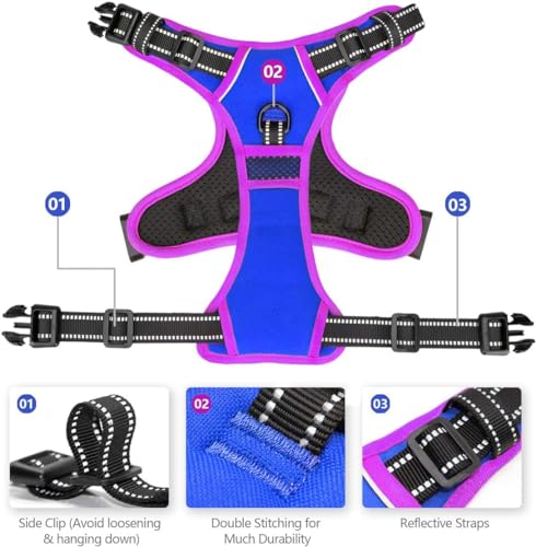 Upgraded No Pull Dog Harness (Royal Blue / Large)