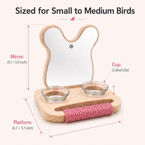 Bird Mirror with Perch and Feeder (5.9 inch)