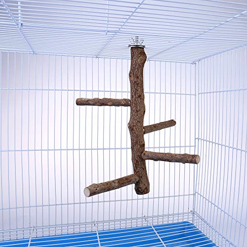 Bird Perch Stand Toy Natural Wood Bird Cage Branch Perch 10 Inch (10 Inch Perch)