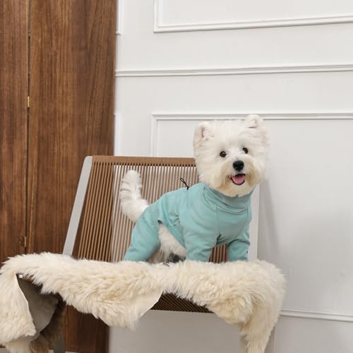 Adjustable Recovery Suit for Small Dogs (Green / S)