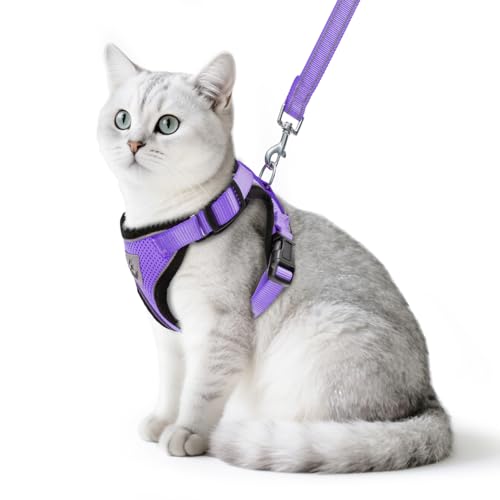 Cat Harness and Leash Set Escape Proof Reflective Cat Walking Harness Adjustable Soft Breathable Mesh Vest for Small Pets (M (NECK 11"-13.7", CHEST 16"-20") / Purple)
