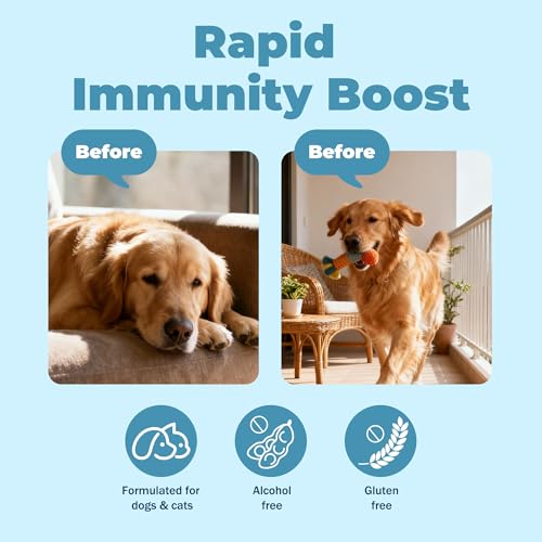 Relief Dog Allergy & Ear Infection