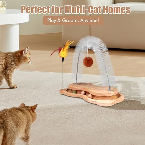Cat Self Groomer