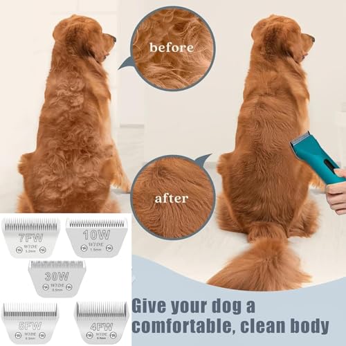 Wide Blade Dog Grooming Blades Compatible with Andis (3pcs/ #10w+30w+5fw)