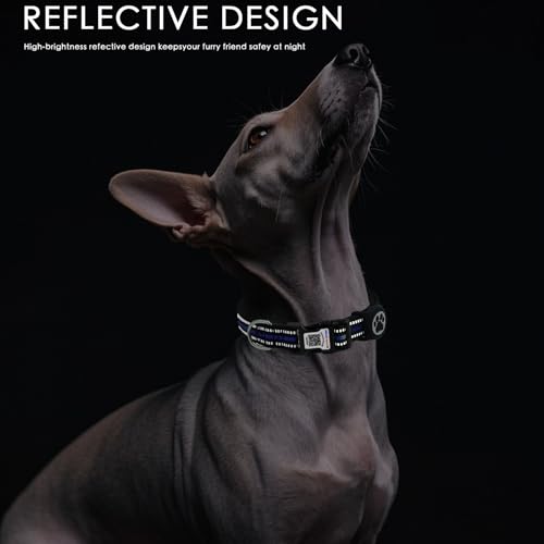 Dog Collar with Tracker Holder and QR Code ID (Blue / M (13-22"))
