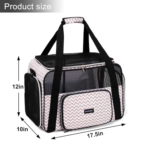 Pet Travel Carrier (BLW)