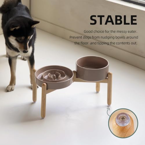 Elevated Slow Feeder Dog Bowls (Brown Coffee)