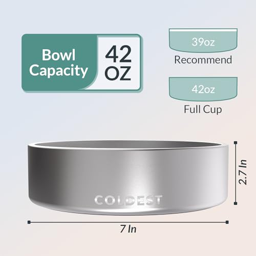 Coldest Dog Bowl (42 oz / Polished Stainless Steel)