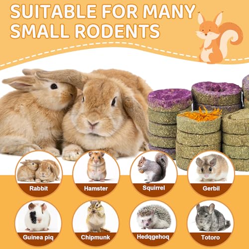 30PCS Guinea Pig Hay Grass Cake Food Set Natural Rabbit Chew Toys for Teeth (30Pack-grass cake)