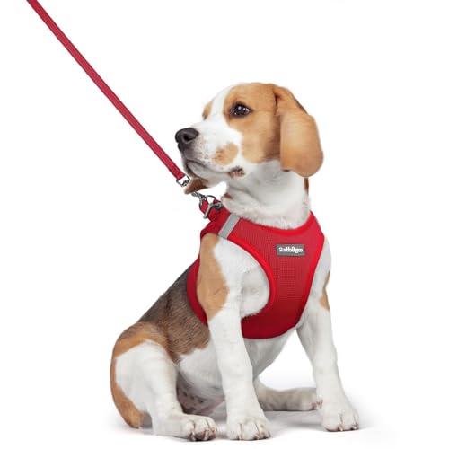 Dog Harness Medium Sized and Leash Set (Red / L (chest: 18.2 - 20.5"))