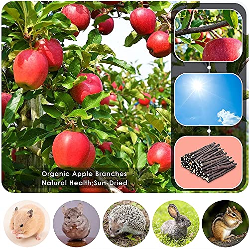 Rabbit Toys 3 Types Hamster Chew Toys for Teeth Grinding (15Pcs)