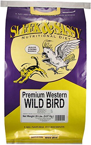Premium Wild Bird Food (1 Count (Pack of 1))
