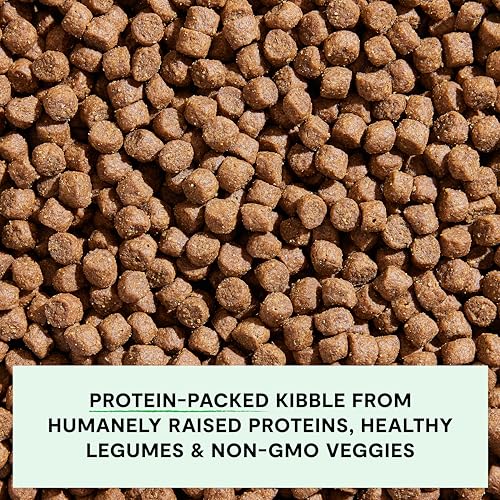 Grain Free Dry Dog Food (22 Pound (Pack of 1))