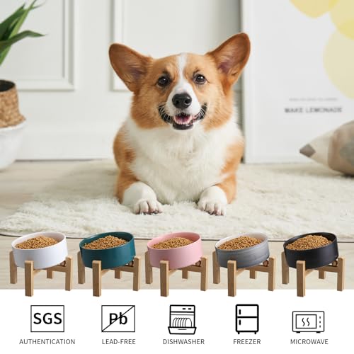 Elevated Raised 15°Tilted Anti Slip Ceramic Dog Bowl for Medium & Large Breeds (Pink / 3.6Cup)