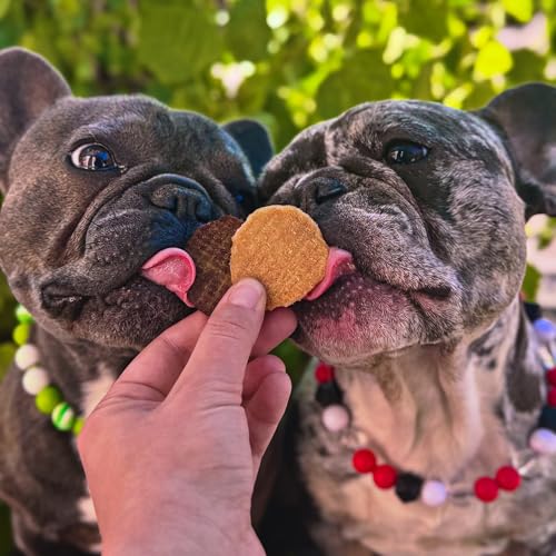 Dog Treats Chicken Chips (4 Ounce (Pack of 1))