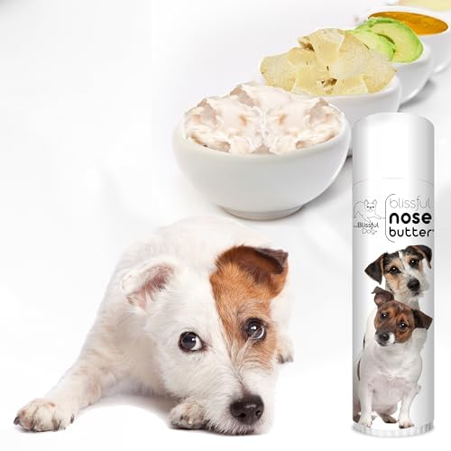 Jack Russell Terrier Nose Butter for Dry (Jack Russell Terrier / 0.50 Ounce)