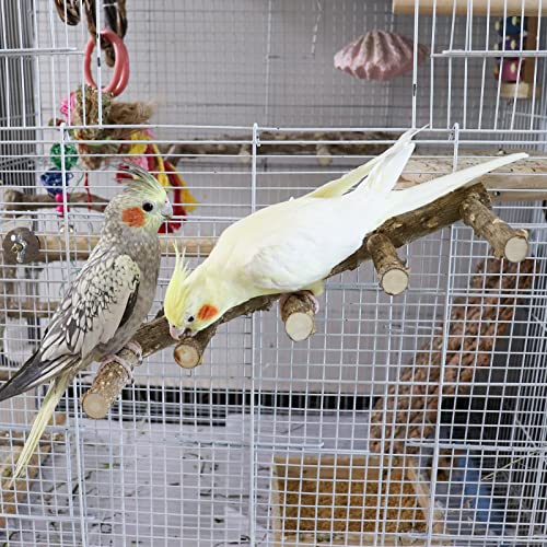 15.7 Inch Large Bird Perch Stand