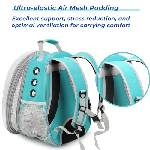 Expandable Bubble Cat Carrier Backpack (Back Expandable-Green)