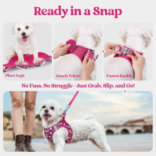 Dog Harness Medium Sized and Leash Set (Pink Berry / M (chest: 16 - 18.5"))