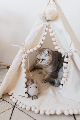 Pet Teepee Bed for Cats (Small)