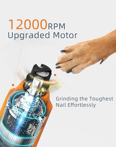 6 Speed Dog Nail Grinder& 3 Grinding Heads with 2 LED Lights