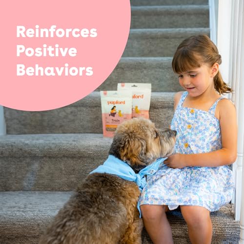 Freeze Dried Training Treats for Dogs & Puppies (2 Ounce (Pack of 1))