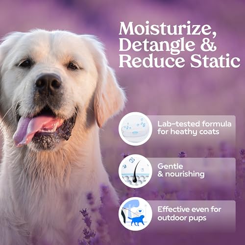 PAWFUME Dog Detangler Grooming Spray (4 Fl Oz (Pack of 1))