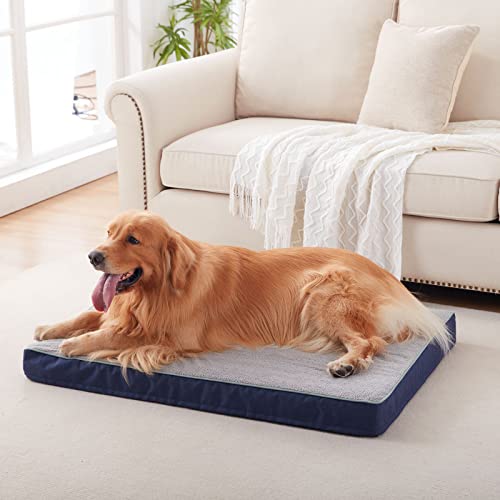 Orthopedic Memory Foam Dog Bed