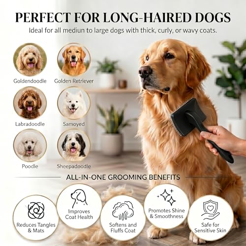 Slicker Brush for Dog (Large / Black)