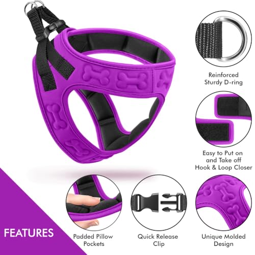 Comfort fit Step (L+ (Chest 21"-23") / Purple)
