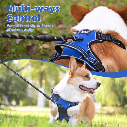 No Pull Dog Harness for Large (Blue / Large)