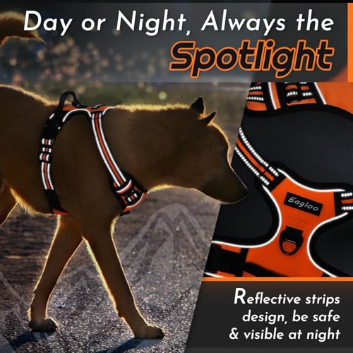 Dog Harness for Small Dogs (Small / Orange)