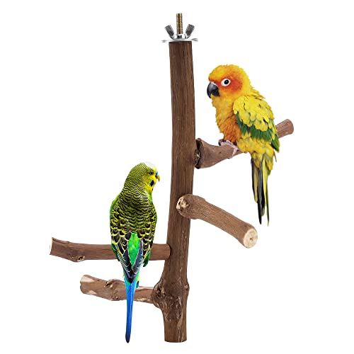 Natural Bird Perch Stand for Cage