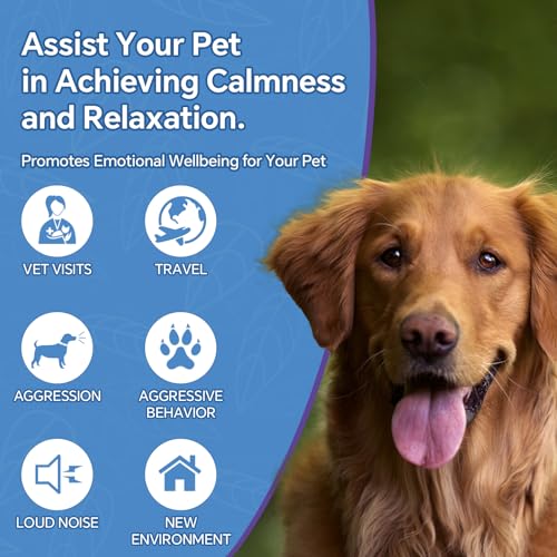 Hemp Oil for Dogs and Cats (4PC)