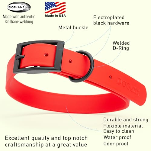 Biothane Waterproof Dog Collar Strong Coated Nylon Webbing with Black Hardware Odor (W1" x L18-22" / Cherry Red)