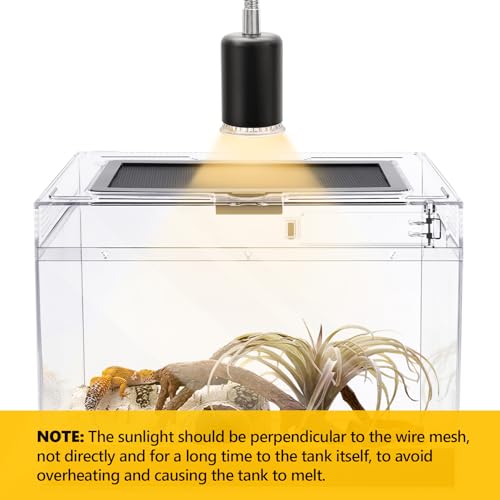 Reptile Tank 7 Piece Starter Kit with Escape Proof Locking Lid XL (XLarge(19.5x9.4x10.5IN))