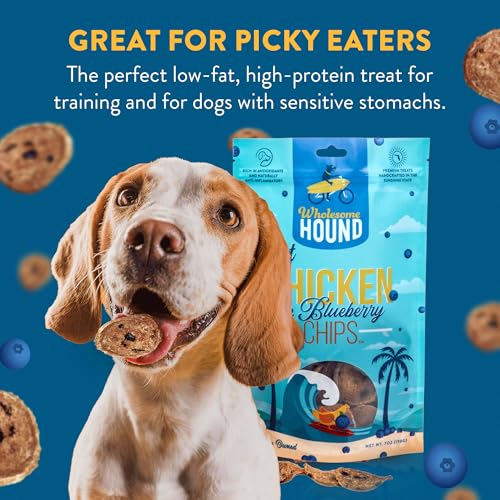 Chicken Blueberry Chips Dog Treats (7–8 Ounce)