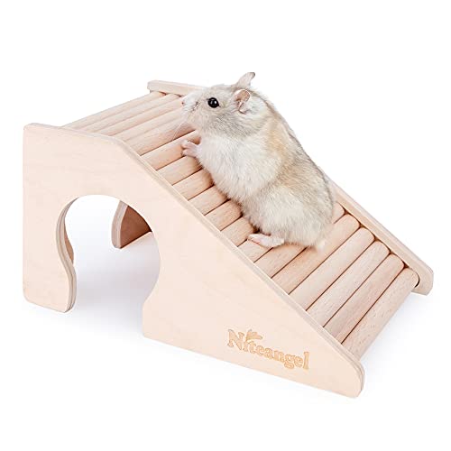 Hamster House w