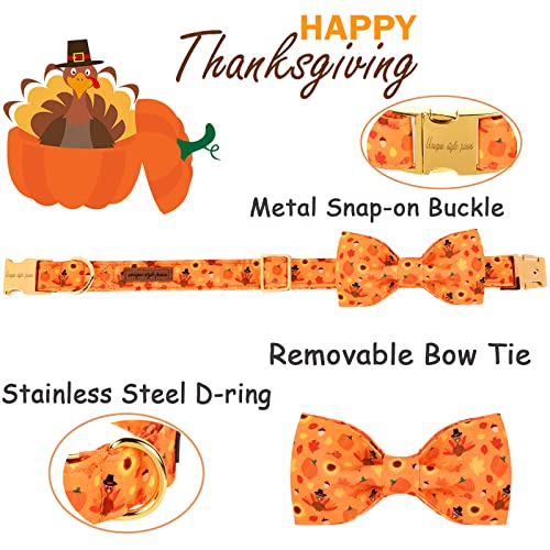 Halloween& Dog Collar with Bow Tie Pumpkin Cotton Collar Adjustable Puppy Collar Best Thanksgiving Gift for Small Medium Large Dogs (X-Small / Turkey&pumpkin)