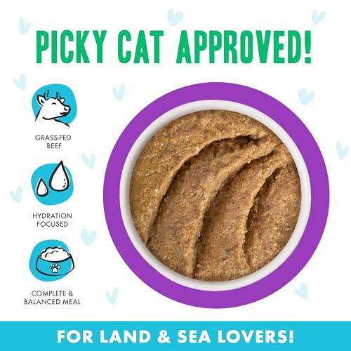 B.F.F. Play Best Feline Friend Paté Lovers (3 Ounce (Pack of 12))