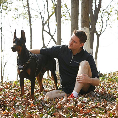 Tactical Dog Harness for Medium Dogs (Black / M(Neck:16-20", Chest:17-27"))