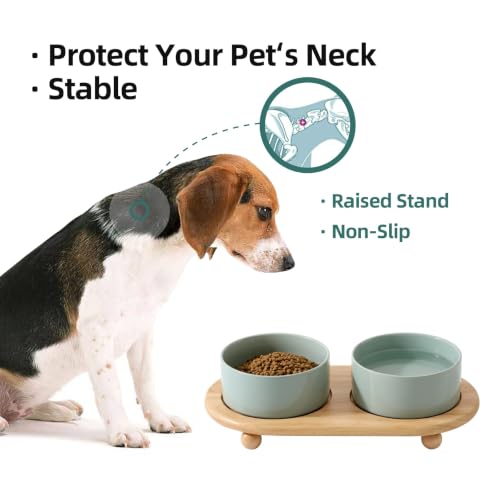Raised Cat Bowl (Light Green)