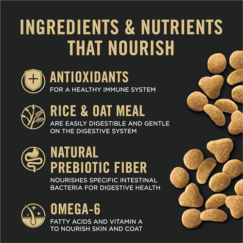 Sensitive Skin & Stomach Dry Cat Food (5.5 Pound (Pack of 1))