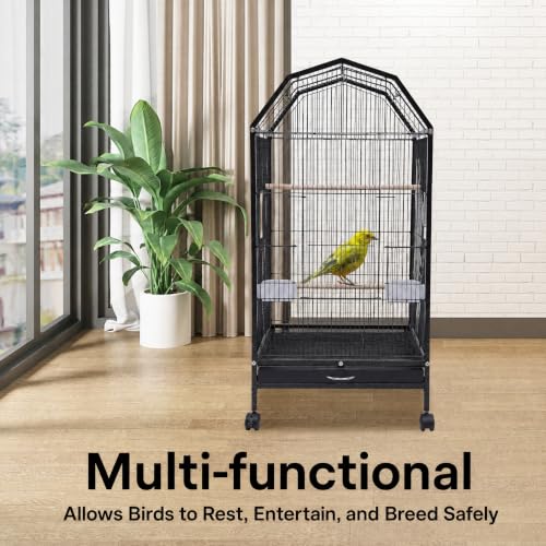 40 Inch Wrought Iron Bird Cage with Open