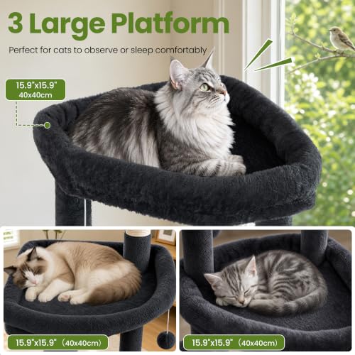 67in Tall Cat Tree Tower for Large Cats (Dark Grey1 / 67 Inches)